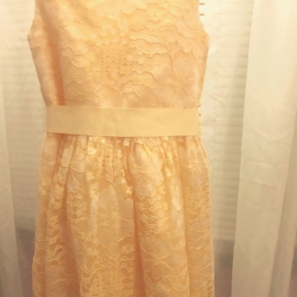 Children's Place lace dress (used)